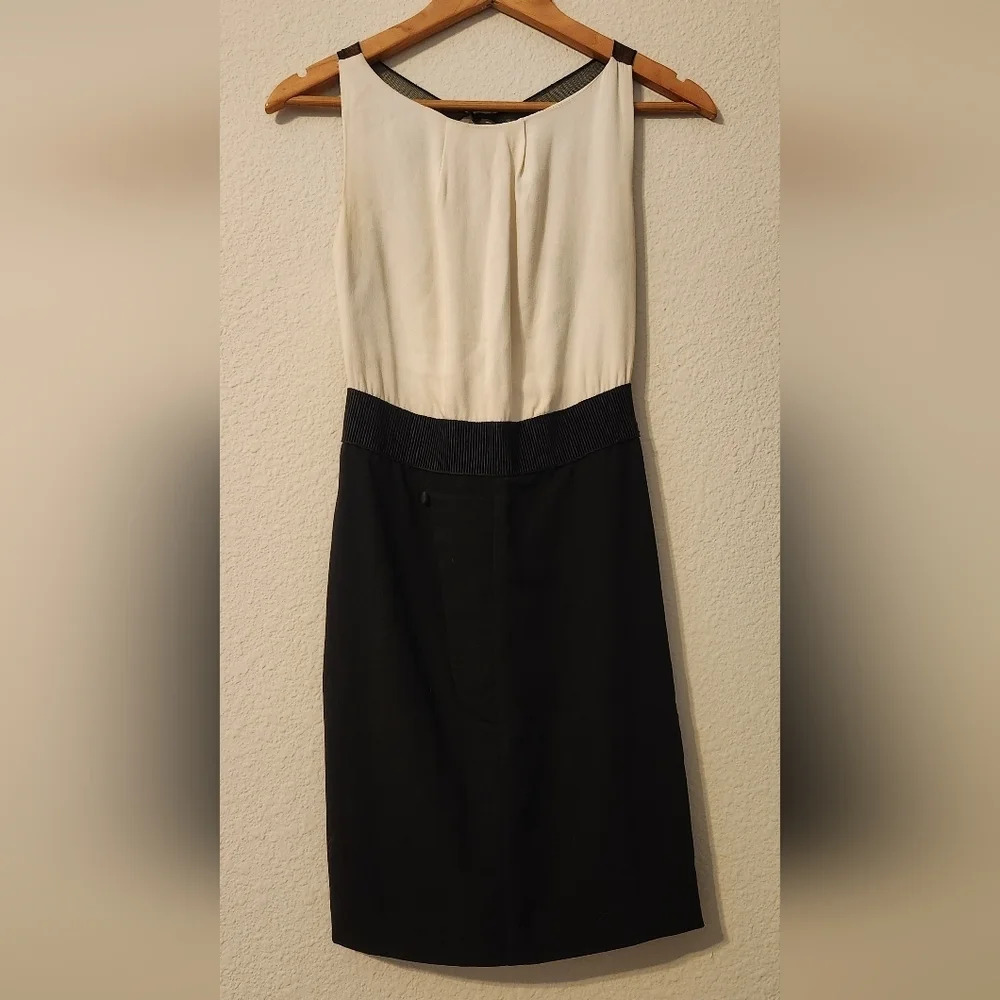 Alexander Wang Dress